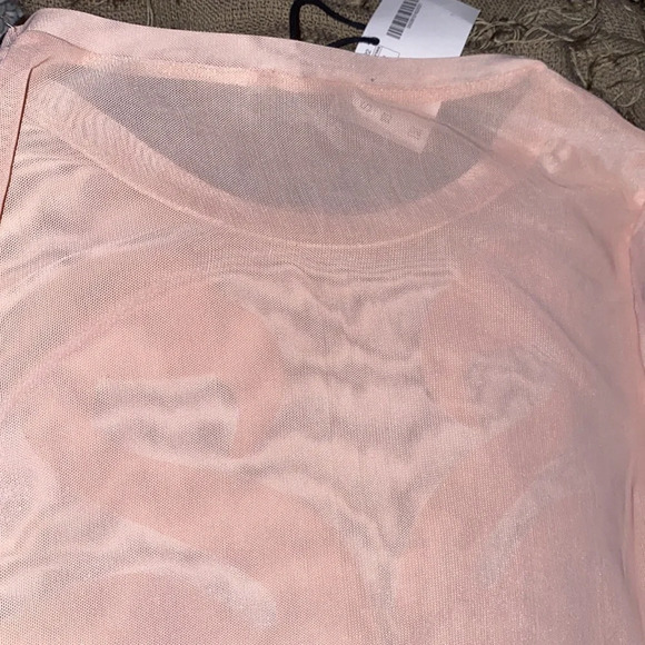 Zara Nude pink mesh flamingo detail bodysuit New Sz S - Picture 11 of 15